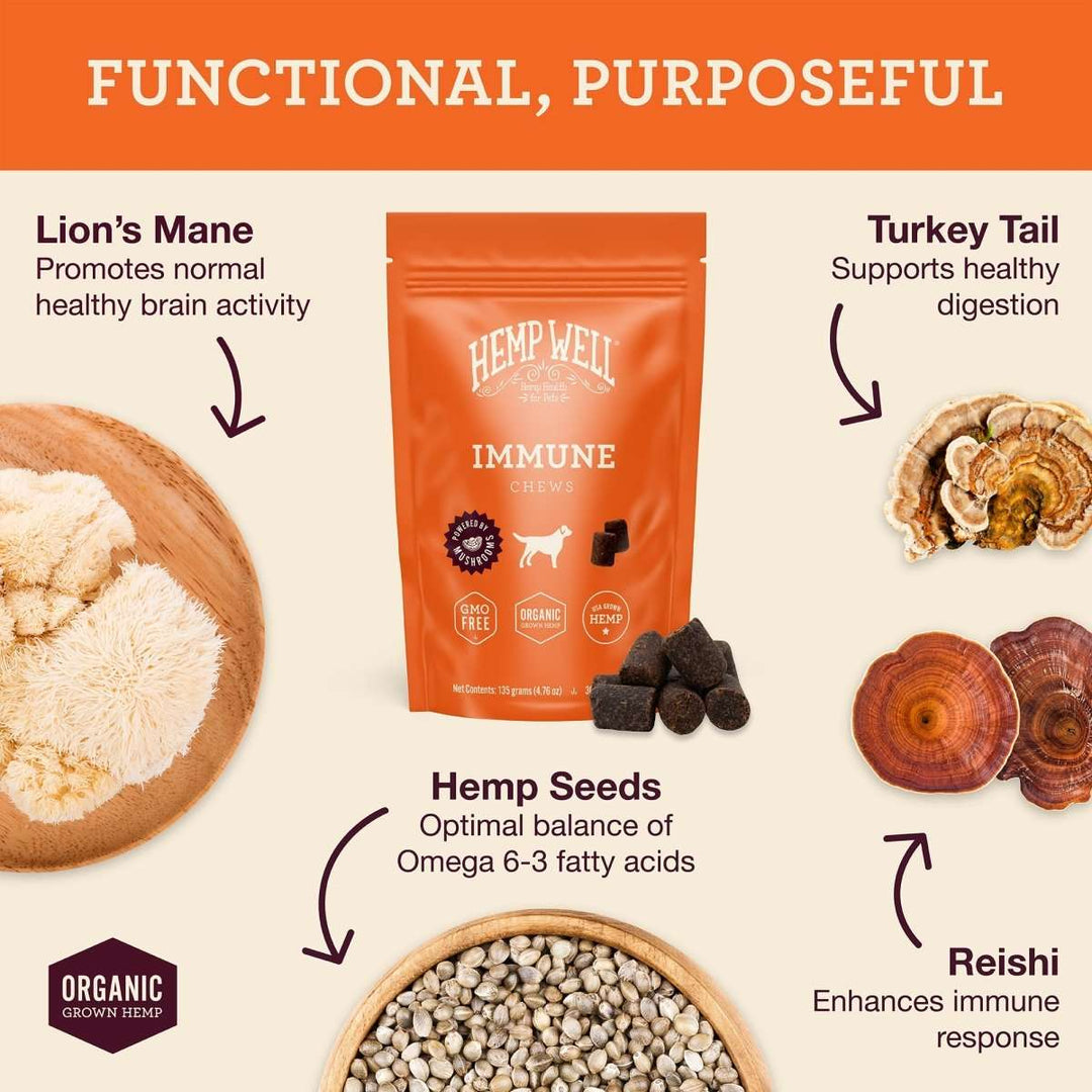 Whole Belly Wellness Bundle - Hemp Well digestion gut health