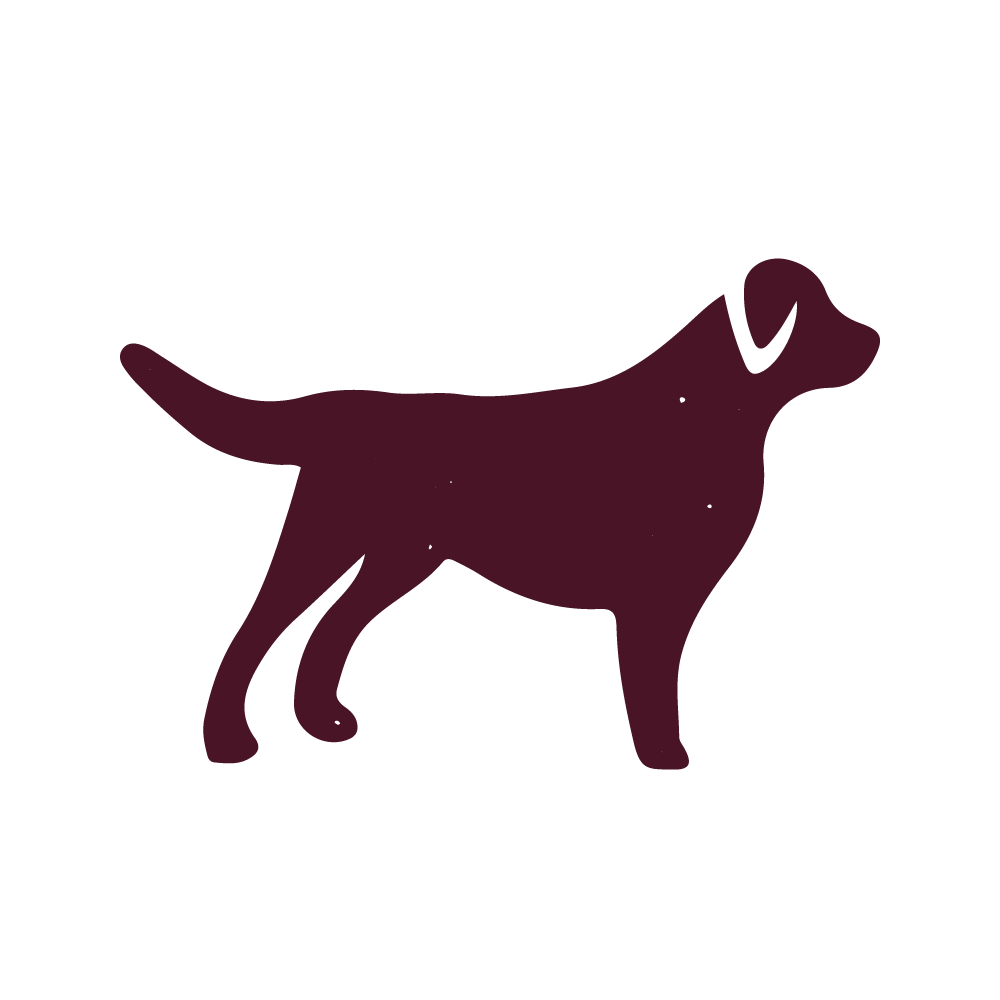 CBD for dogs