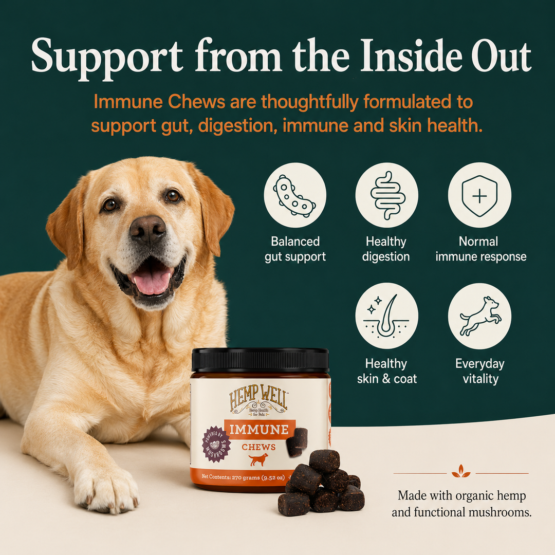 Immune &amp; Digestive Gut Health Dog Soft Chews
