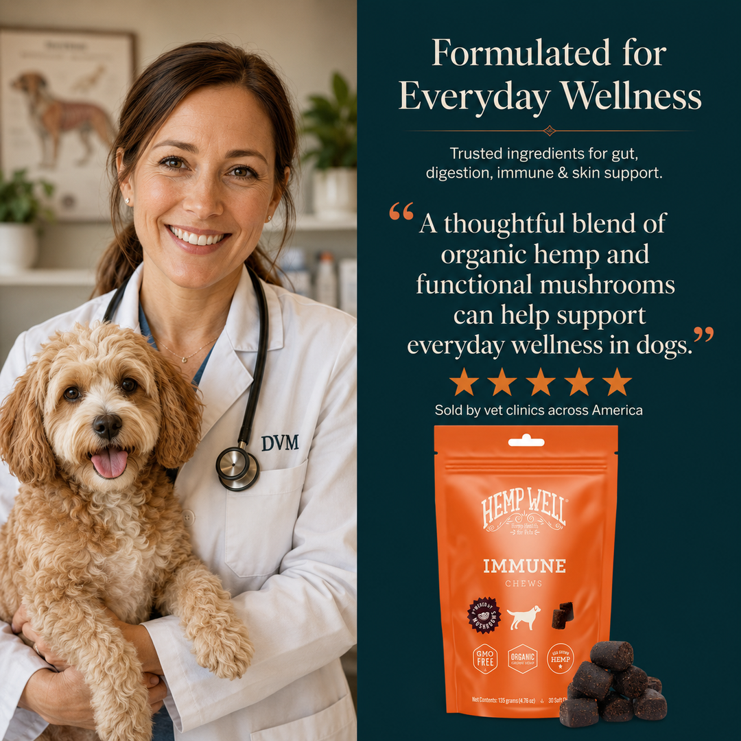 Immune &amp; Digestive Gut Health Dog Soft Chews
