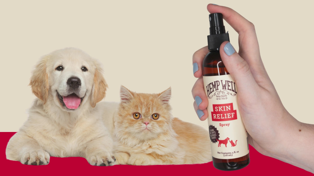 Skin Relief Spray for Itchy Dogs & Cats