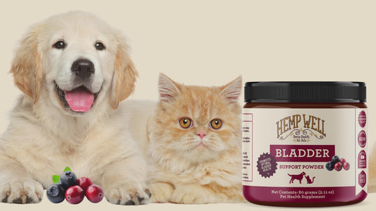 Bladder Support Powder for Dogs & Cats