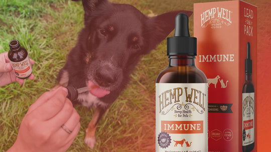 Immune & Digestive Gut Health for Dogs & Cats