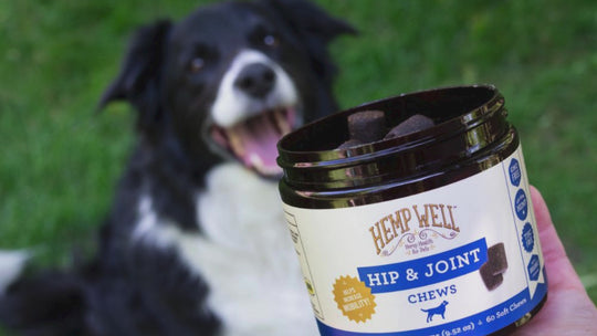Hip & Joint Dog Soft Chews - Organic, USA Grown