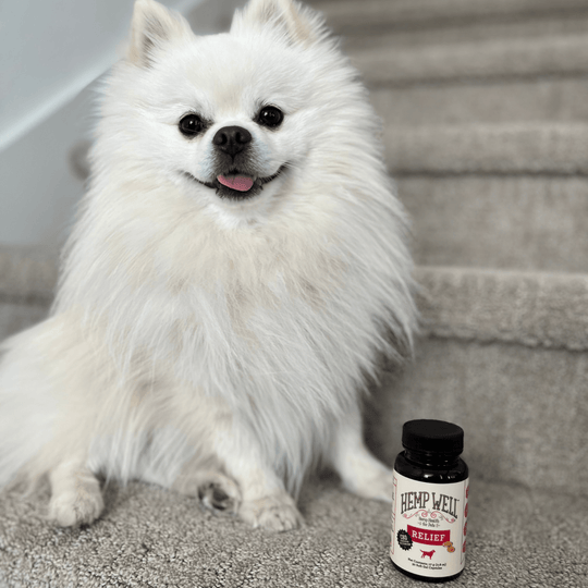 Relief (CBD) Capsules for Dogs - Hemp Well CBD dog capsules