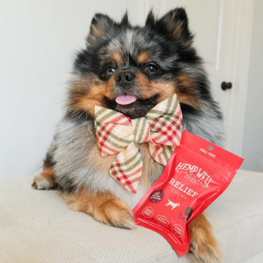 Relief (CBD) Dog Soft Chews - Hemp Well best cbd dog treats calm cbd dog treats for anxiety