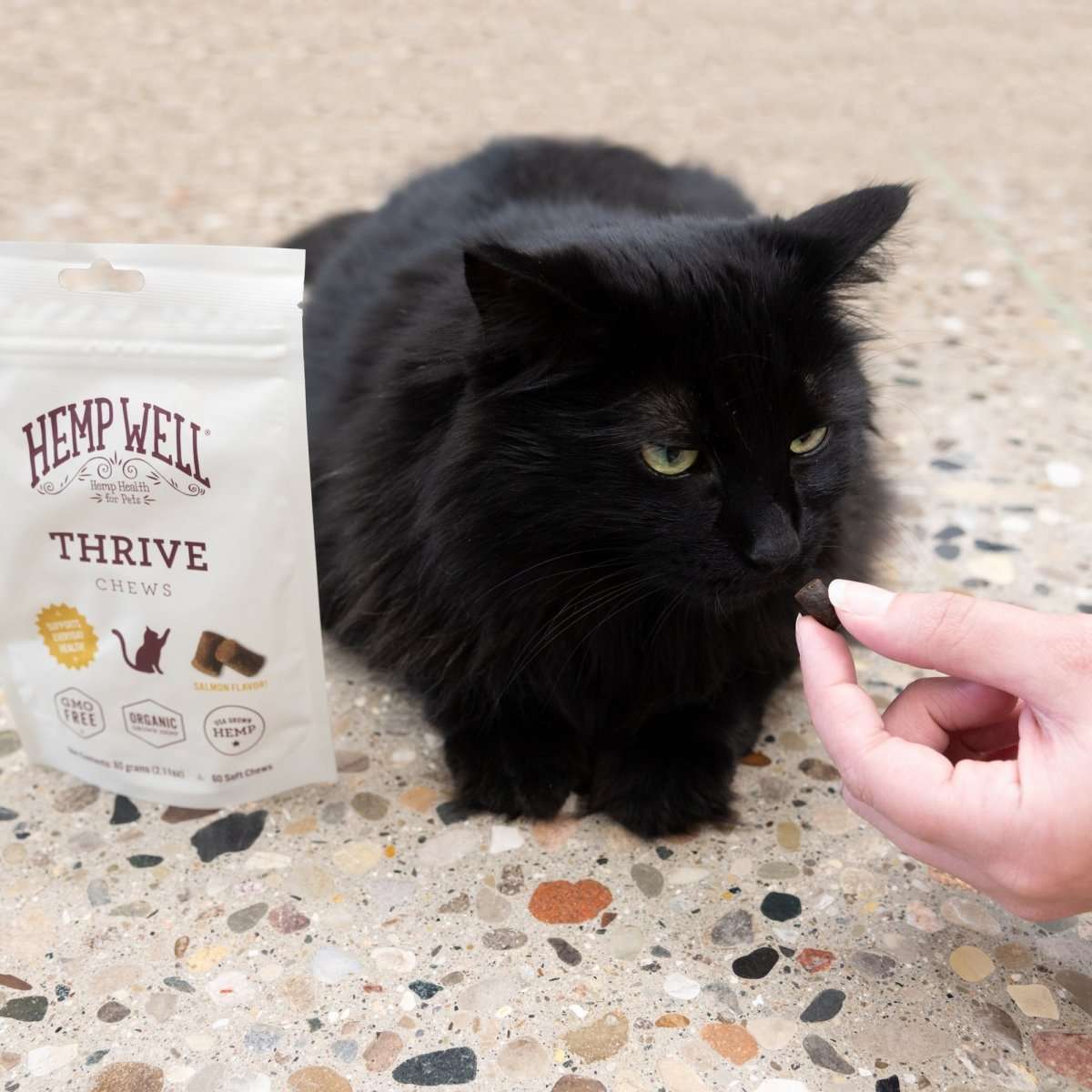 Thrive Cat Soft Chews - Hemp Well