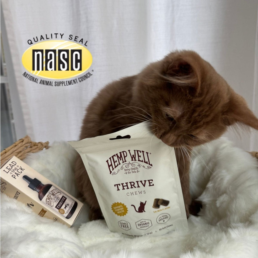 Thrive Cat Soft Chews - Hemp Well