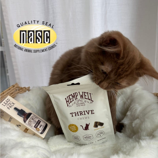 Thrive Cat Soft Chews - Hemp Well