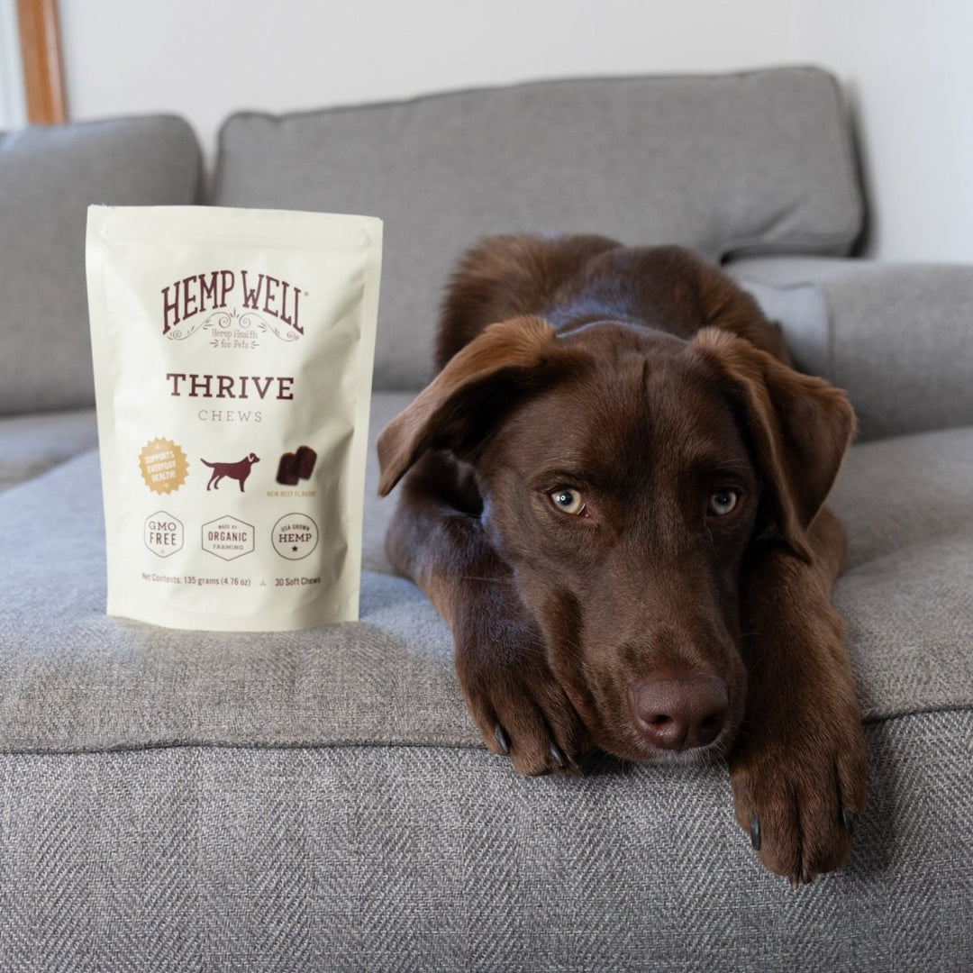 Organic Thrive Dog Soft Chews for Skin Health - Hemp Well dog dog treats hemp