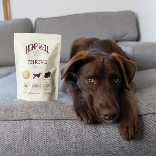 Organic Thrive Dog Soft Chews for Skin Health - Hemp Well dog dog treats hemp