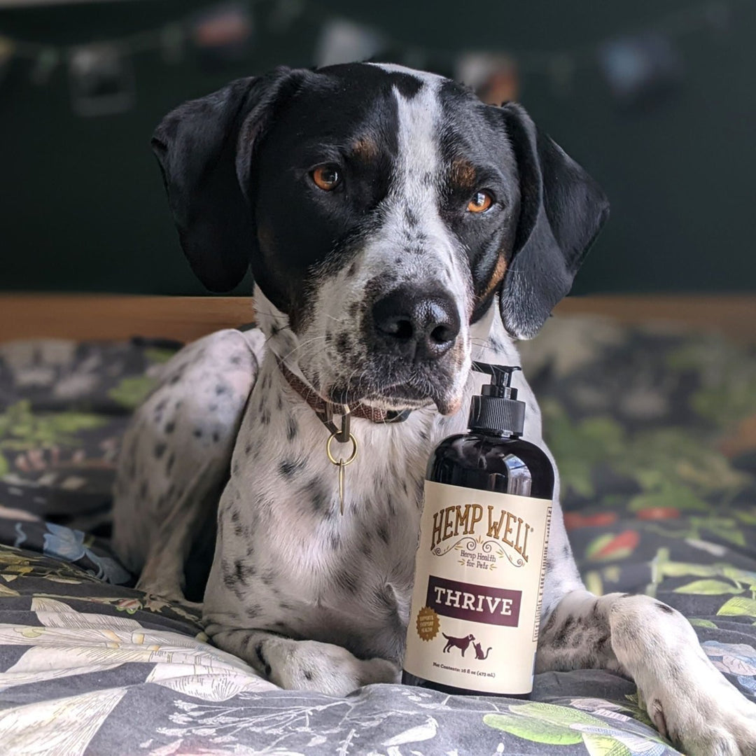 Elevate your pets' health with organic, USA grown Thrive Oil for Dogs & Cats. An all-natural choice for their well-being.