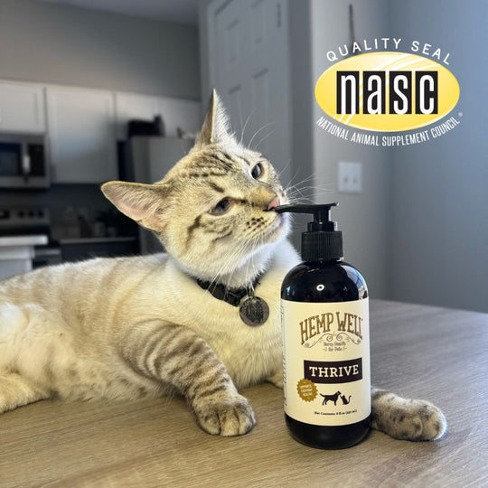 Thrive Oil for Dogs & Cats - Hemp Well cat Dog Hemp Well Thrive