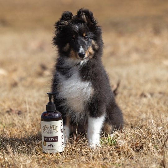 Thrive for dogs & cats, is made from organic ingredients & sourced from USA. Ideal for your furry companions' health.