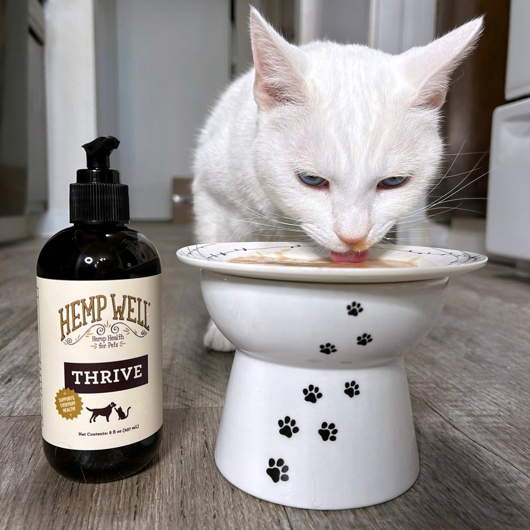 Experience the benefits of organic, USA grown Thrive Oil for Dogs & Cats. Improve your pet's health and wellness naturally.
