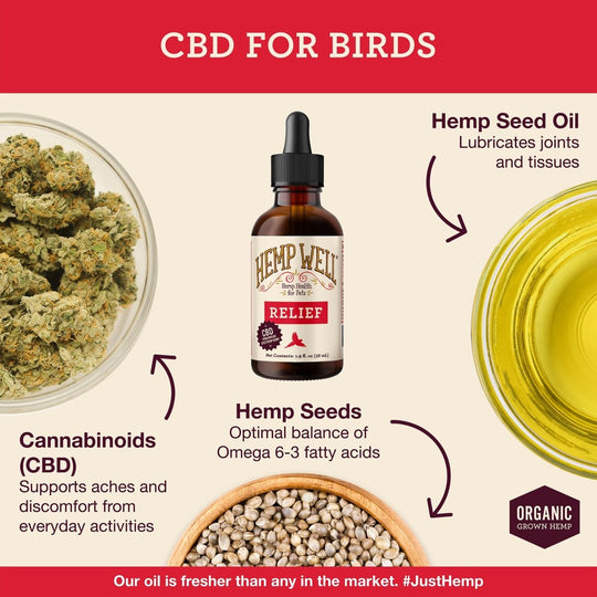 Bird Relief (CBD) - Hemp Well