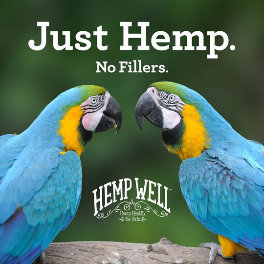 Bird Relief Plus (CBD) - Hemp Well bird bird CBD cbd for birds