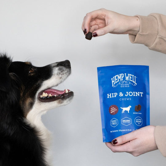 Hip & Joint Dog Soft Chews - Hemp Well dog hip Hip Joint Dog