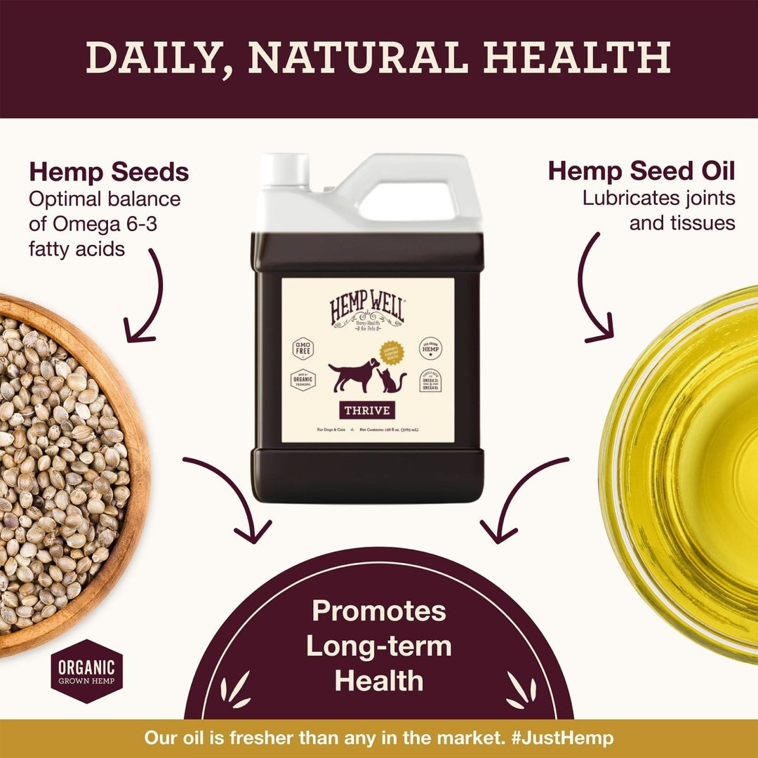 Horse Hemp Oil - Hemp Well equine hemp horse