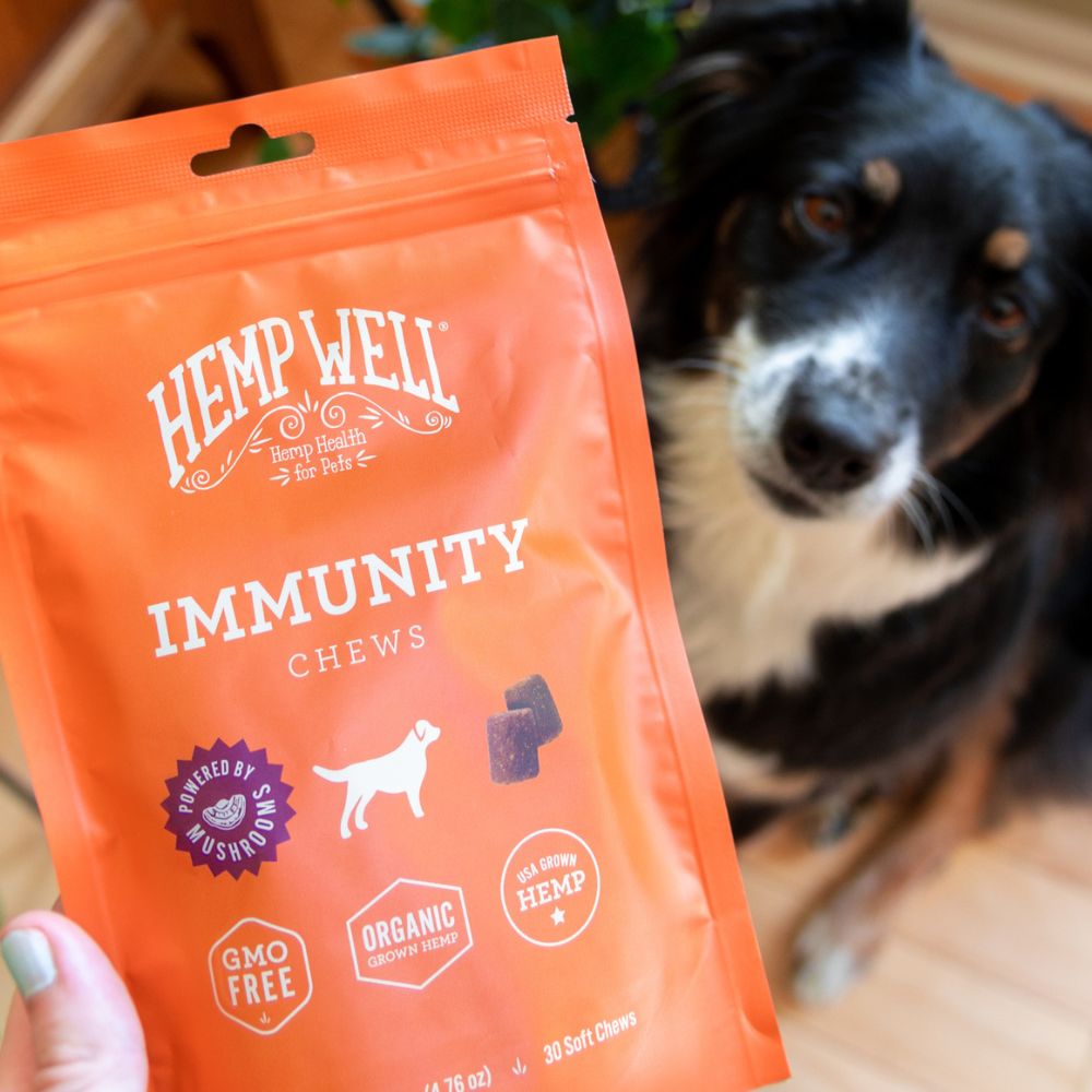 Immune Support Dog Soft Chews - Hemp Well calm dog dog immunity