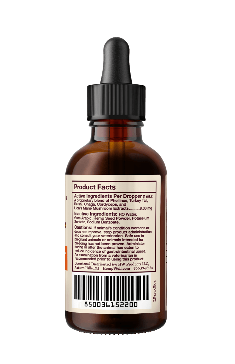 Immune Support Oil - Hemp Well cats dogs hemp