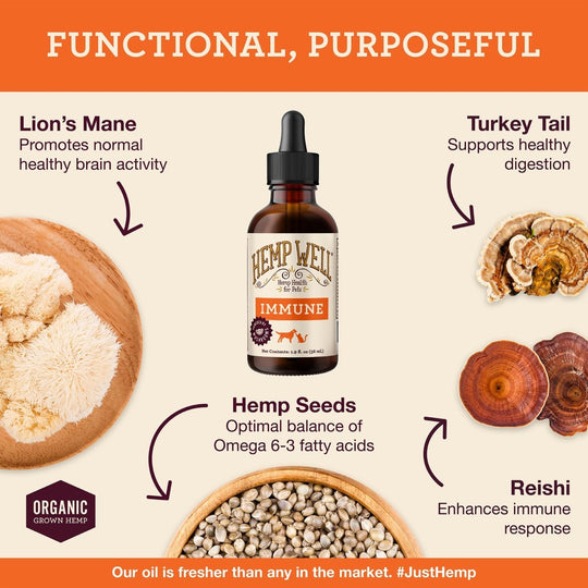 Immune Support Oil - Hemp Well cats dogs hemp