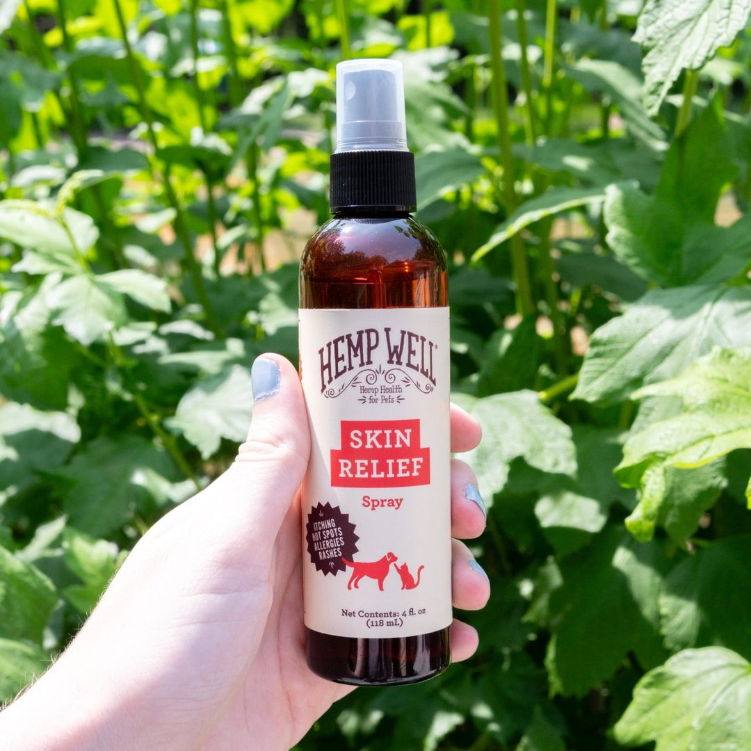 Skin Relief Spray - Hemp Well cat dog skin