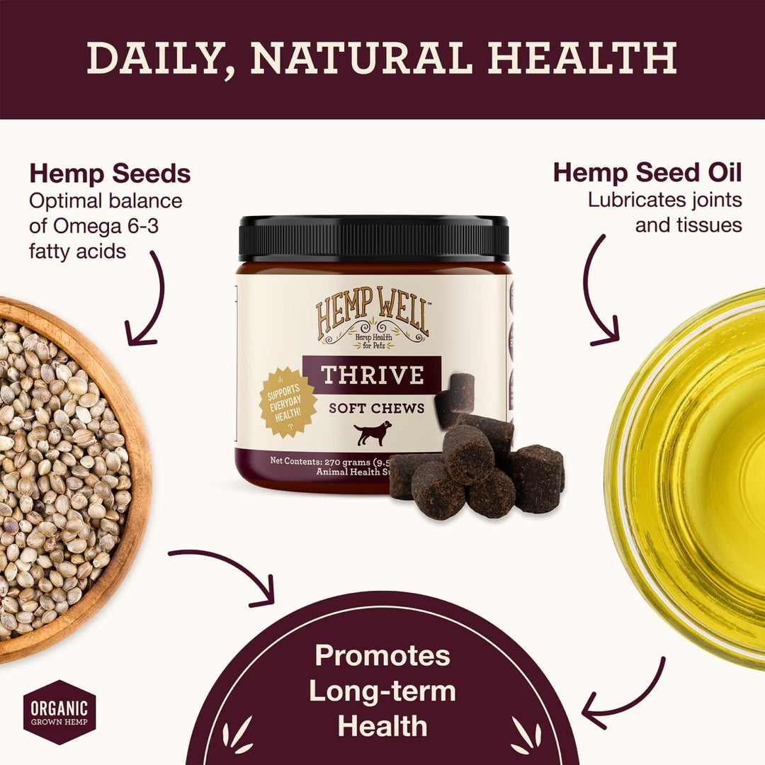 Organic Thrive Dog Soft Chews for Skin Health - Hemp Well dog dog treats hemp